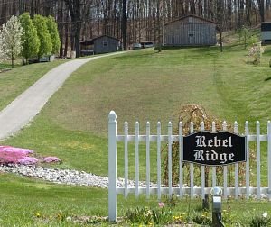 05/30/08: Kennel Owner Admits Violating Order Banning Dog Sales